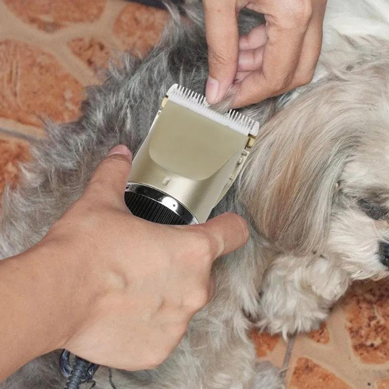 Máquina Clipper de cabelo para pets. - Llys Store